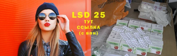 дживик Медвежьегорск