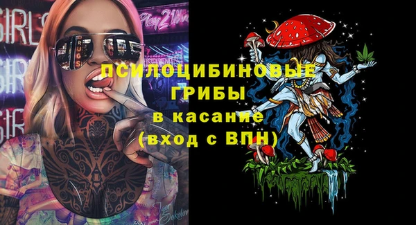 молекула духа Мегион