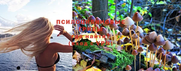 ECSTASY Медногорск