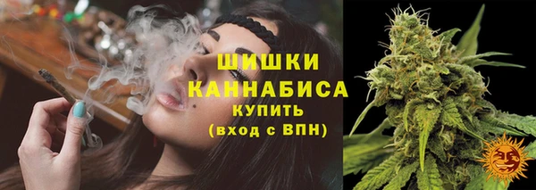 дживик Медвежьегорск